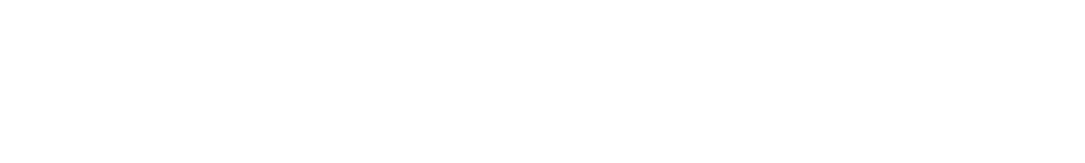Cyber Valley Agency